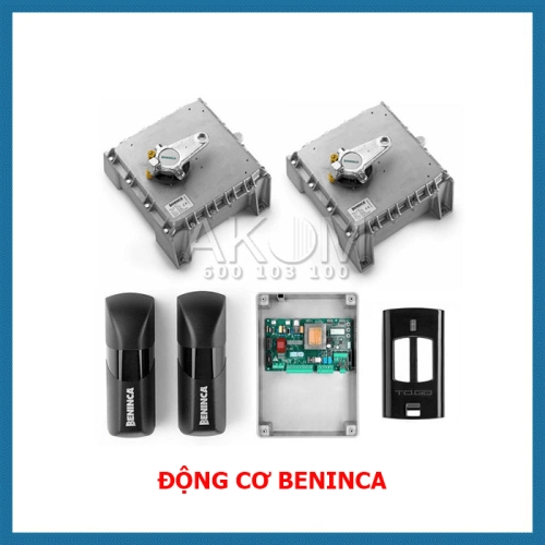 ĐỘNG CƠ BENINCA DU.350N